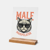 Manipulateur Masculin Lunettes de Soleil Chat Drôl (Angle)