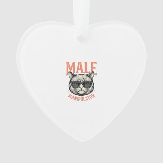 Manipulateur Masculin Lunettes de Soleil Chat Drôl (devant)