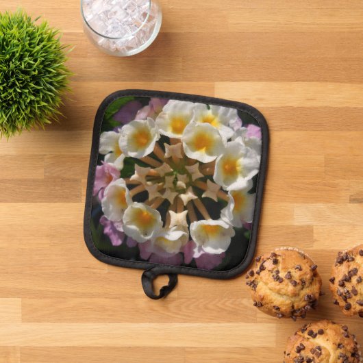 Manique Adelaparre (De haut en bas)