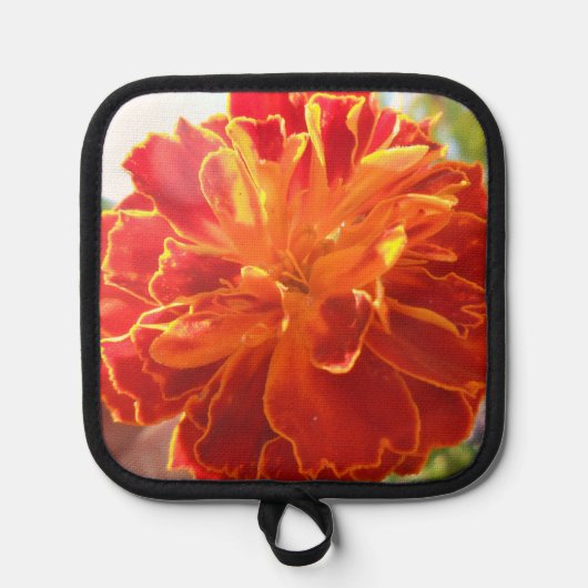 Manique Anastaise (Recto)