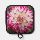 Manique Beaux (Recto)