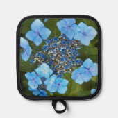 Manique Blue Lacecap Hydrangea Floral (Recto)