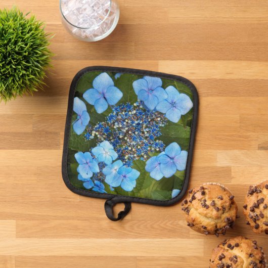 Manique Blue Lacecap Hydrangea Floral (De haut en bas)