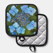 Manique Blue Lacecap Hydrangea Floral (Recto/Verso)