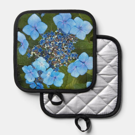 Manique Blue Lacecap Hydrangea Floral (Recto/Verso)