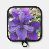 Manique Brandeis (Recto)