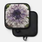 Manique Brett (Recto/Verso)