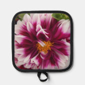 Manique Cartheuserine (Recto)