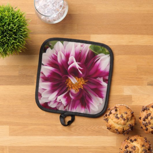 Manique Cartheuserine (De haut en bas)