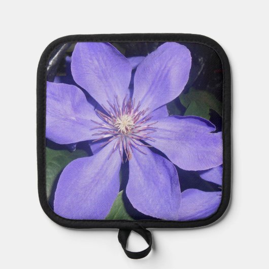 Manique Cé sarine (Recto)