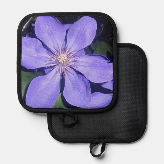 Manique Cé sarine (Recto/Verso)