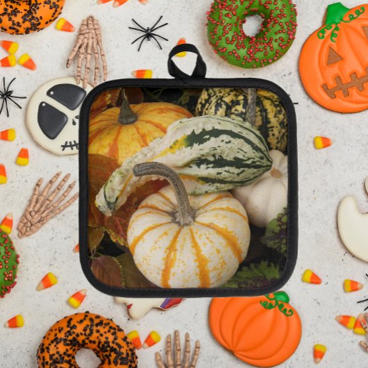 Manique Citrouilles et Squash Still Life