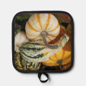 Manique Citrouilles et Squash Still Life (Recto)