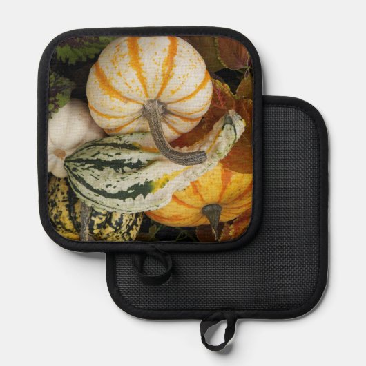 Manique Citrouilles et Squash Still Life (Recto/Verso)