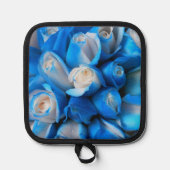 Manique Diemudis (Recto)