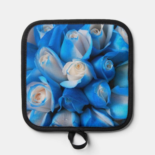 Manique Diemudis (Recto)