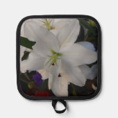 Manique Enrilda (Recto)