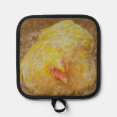 Manique Goldie la poule (Recto)