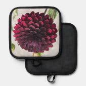 Manique Gros dahlia rouge fleuri (Recto/Verso)