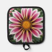 Manique Herefordv (Recto)