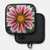 Manique Herefordv (Recto/Verso)