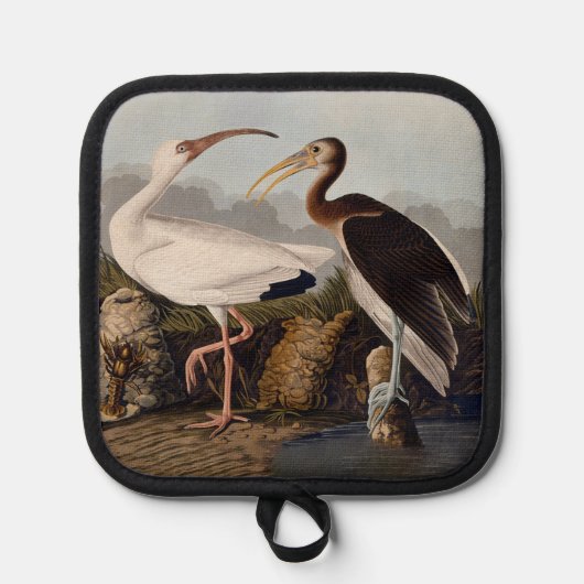Manique Impression d'oiseau Ibis blanc de John James Audub (Recto)