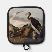 Manique John James Audubon White Ibis Bird Print Classic (Recto)