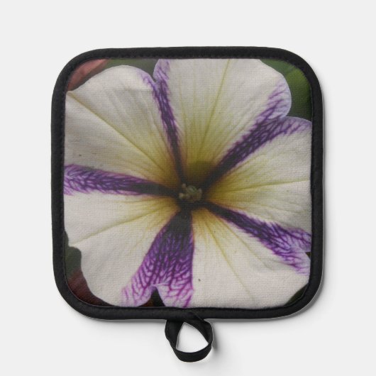 Manique Joli (Recto)