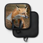 Manique Le Beau Renard Rouge (Recto/Verso)