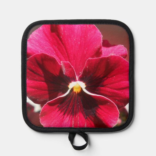 Manique Lucrezia (Recto)