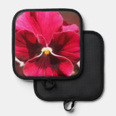 Manique Lucrezia (Recto/Verso)