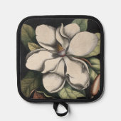 Manique Magnolia Vintage (Recto)