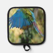 Manique oiseau (Recto)