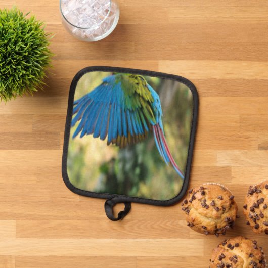 Manique oiseau (De haut en bas)