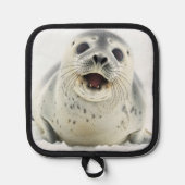 Manique Phoque pour bébé (Recto)