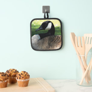 Manique Photo de la faune de Canada Goose