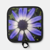 Manique Pompeia (Recto)