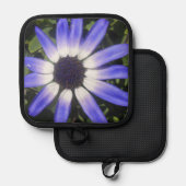 Manique Pompeia (Recto/Verso)