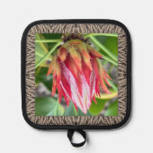 Manique Porte-pot avec Protea étonnant (Recto)