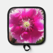 Manique Promettre (Recto)