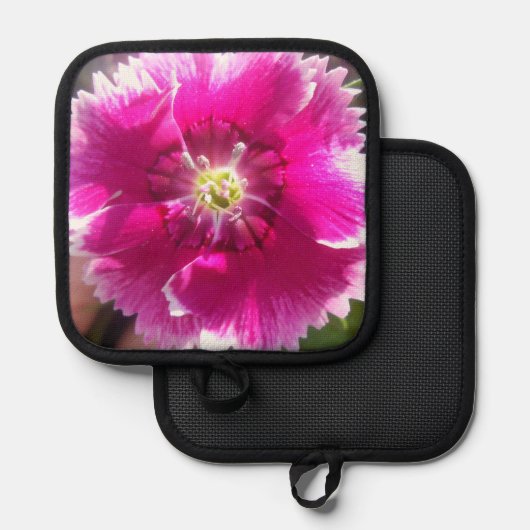 Manique Promettre (Recto/Verso)