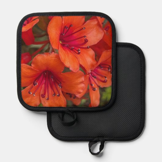 Manique Rhododendron clair Orange fleurit Floral (Recto/Verso)