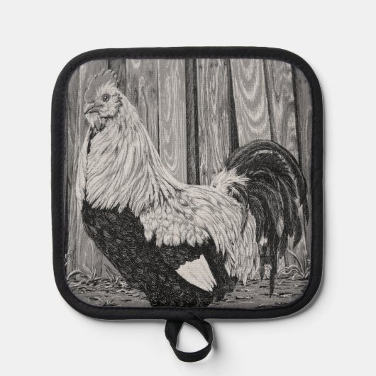 Manique Roo le poulet (Recto)