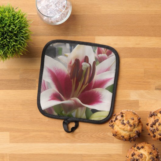 Manique Star Gazer (De haut en bas)