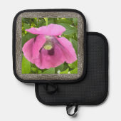 Manique Titulaire de pots avec Joli Pavot Rose (Recto/Verso)