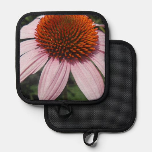 Manique Varotari (Recto/Verso)