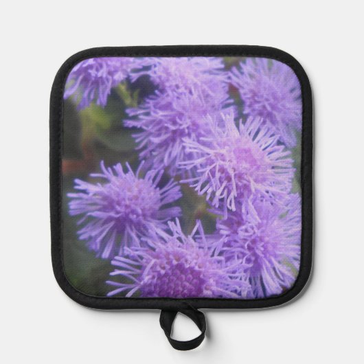 Manique Vistesse (Recto)