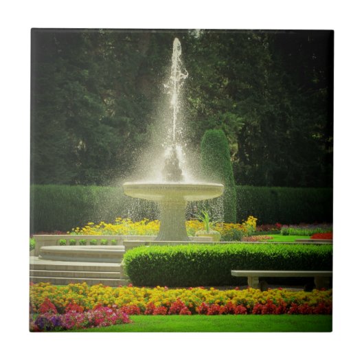 Manito-waterfontein Tegeltje (Voorkant)