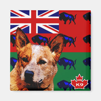 Manitoba Australisch vee hond Magneet