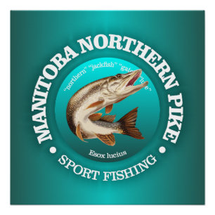 Manitoba Pike Vist Perfect Poster